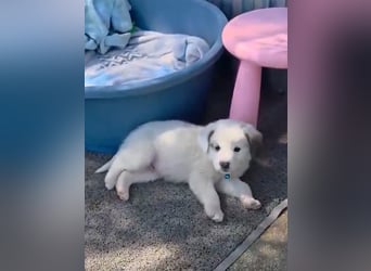 Kosmas möchte die Welt entdecken