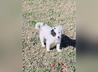 Nira möchte die Welt entdecken