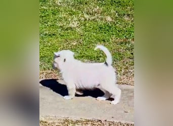 Nira möchte die Welt entdecken