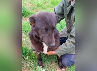 Sara niemand hat sie bisher gesehen