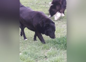 Sara niemand hat sie bisher gesehen