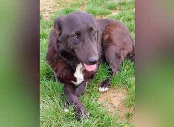 Sara niemand hat sie bisher gesehen