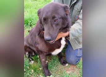 Sara niemand hat sie bisher gesehen