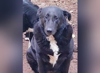 Sara niemand hat sie bisher gesehen