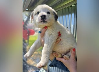 Kosmas möchte die Welt entdecken