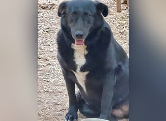 Sara niemand hat sie bisher gesehen