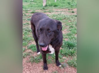 Sara niemand hat sie bisher gesehen