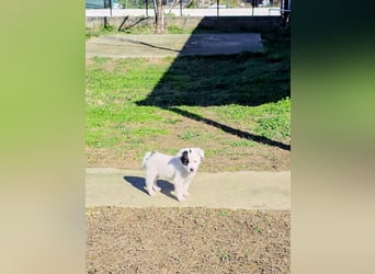 Nira möchte die Welt entdecken