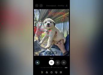 Kosmas möchte die Welt entdecken