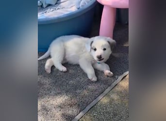 Kosmas möchte die Welt entdecken