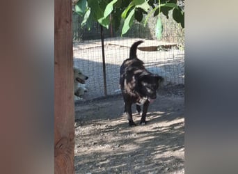 Sara niemand hat sie bisher gesehen