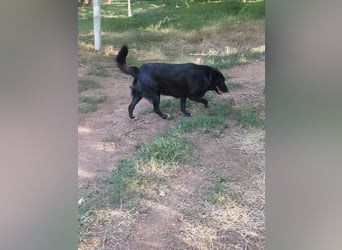 Sara niemand hat sie bisher gesehen