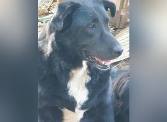 Sara niemand hat sie bisher gesehen