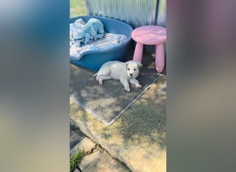 Kosmas möchte die Welt entdecken