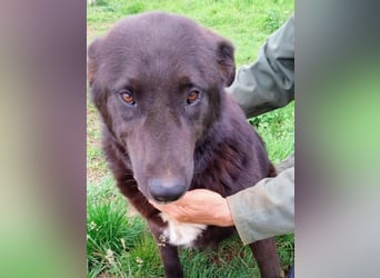 Sara niemand hat sie bisher gesehen