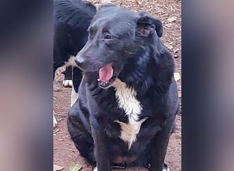 Sara niemand hat sie bisher gesehen