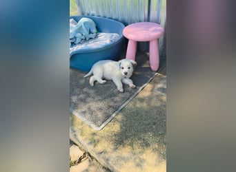 Kosmas möchte die Welt entdecken