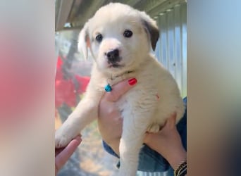 Kosmas möchte die Welt entdecken