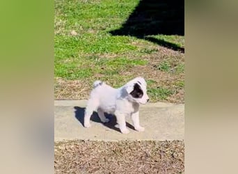 Nira möchte die Welt entdecken