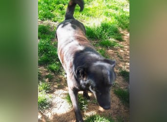 Sara niemand hat sie bisher gesehen