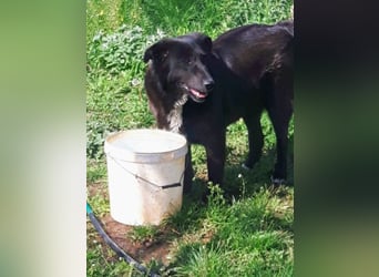 Sara niemand hat sie bisher gesehen