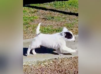 Nira möchte die Welt entdecken