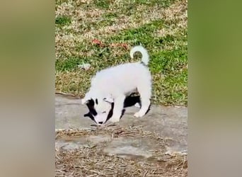 Nira möchte die Welt entdecken