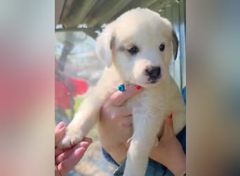 Kosmas möchte die Welt entdecken