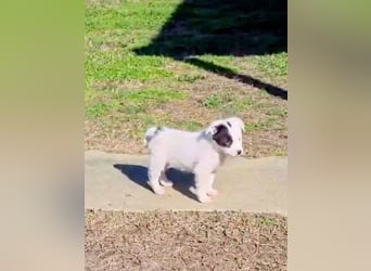 Nira möchte die Welt entdecken