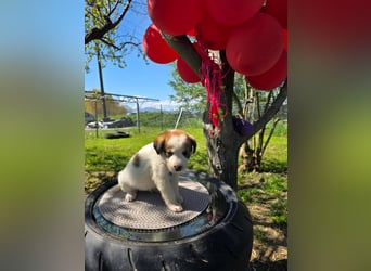 Thanos möchte bei seinen Menschen ankommen