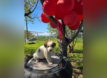 Thanos möchte bei seinen Menschen ankommen