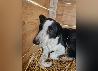 Aramis sucht seinen Platz zum Ankommen