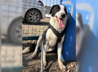 Aramis sucht seinen Platz zum Ankommen
