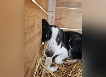 Aramis sucht seinen Platz zum Ankommen