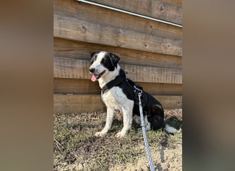 Aramis sucht seinen Platz zum Ankommen