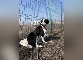 Aramis sucht seinen Platz zum Ankommen