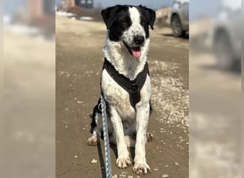 Aramis sucht seinen Platz zum Ankommen