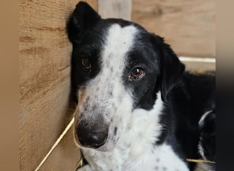 Aramis sucht seinen Platz zum Ankommen