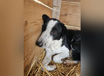 Aramis sucht seinen Platz zum Ankommen