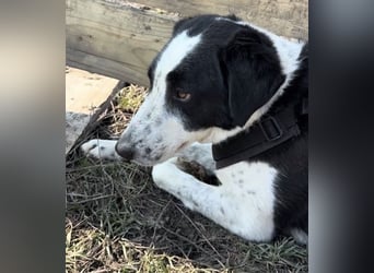 Aramis sucht seinen Platz zum Ankommen
