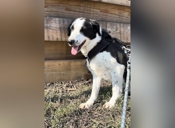 Aramis sucht seinen Platz zum Ankommen