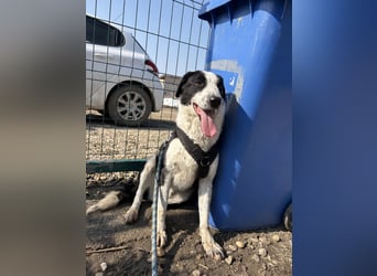Aramis sucht seinen Platz zum Ankommen