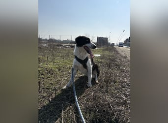 Aramis sucht seinen Platz zum Ankommen