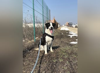 Aramis sucht seinen Platz zum Ankommen