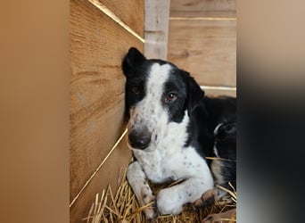Aramis sucht seinen Platz zum Ankommen