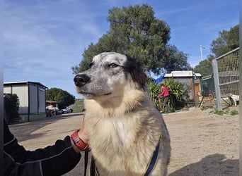 Mila: starke Schulter zum Anlehnen gesucht