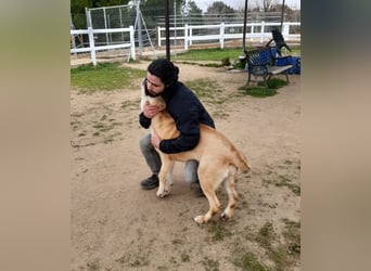 Brooklyn - riesiges Herz sucht riesige Couch