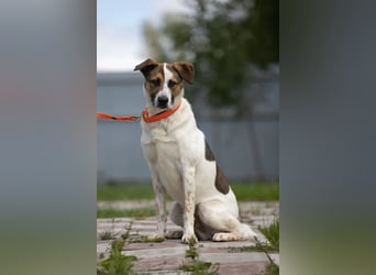 Verspielter Mario sucht aktives Zuhause