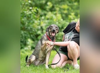 MARTA ❤️ sie wartet immer noch auf ihren Menschen
