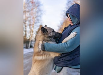 Intelligenter Zeus ❤️ sucht aktive Menschen